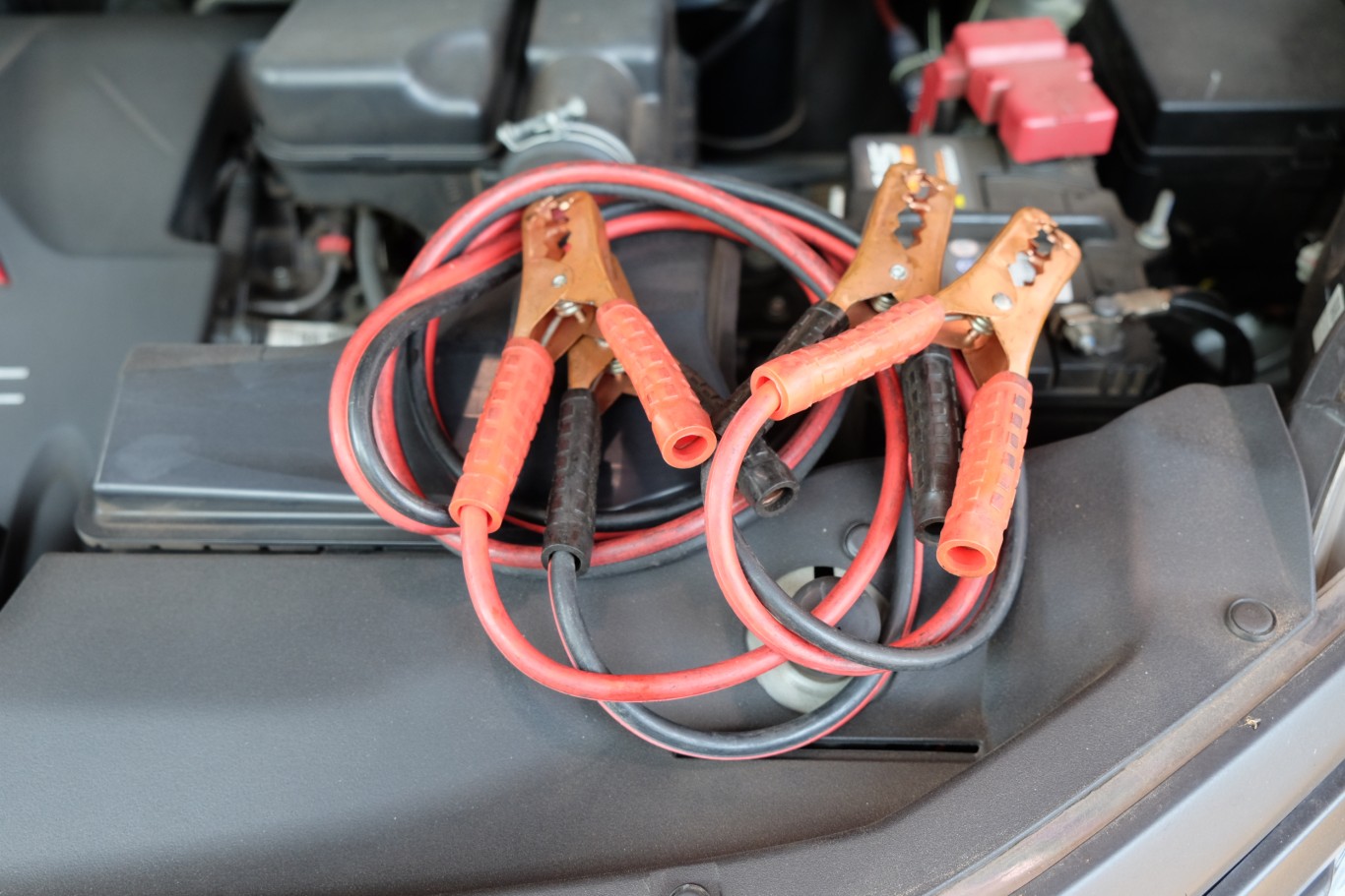 Cara Memancing Aki Mobil yang Tekor